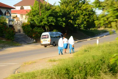 DSC_8232 (Large).JPG